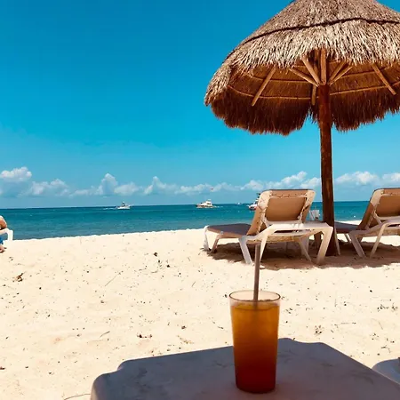 Apartmán Madagascar By Alz Năvodari